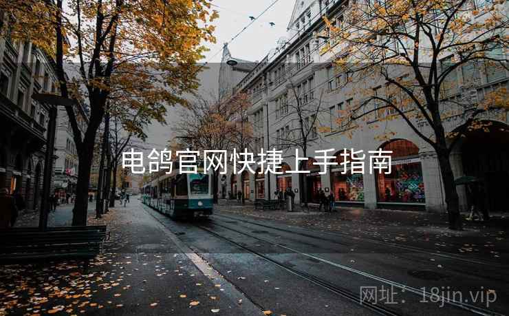 电鸽官网快捷上手指南