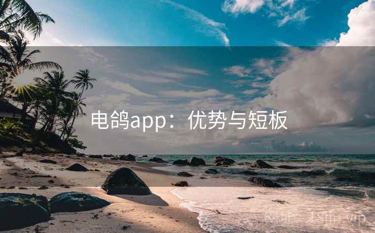 电鸽app：优势与短板