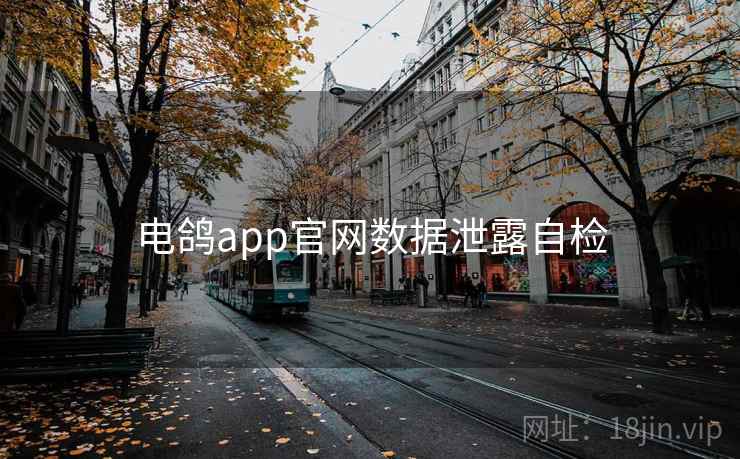 电鸽app官网数据泄露自检