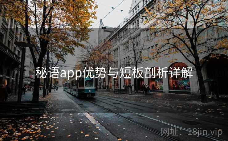 秘语app优势与短板剖析详解
