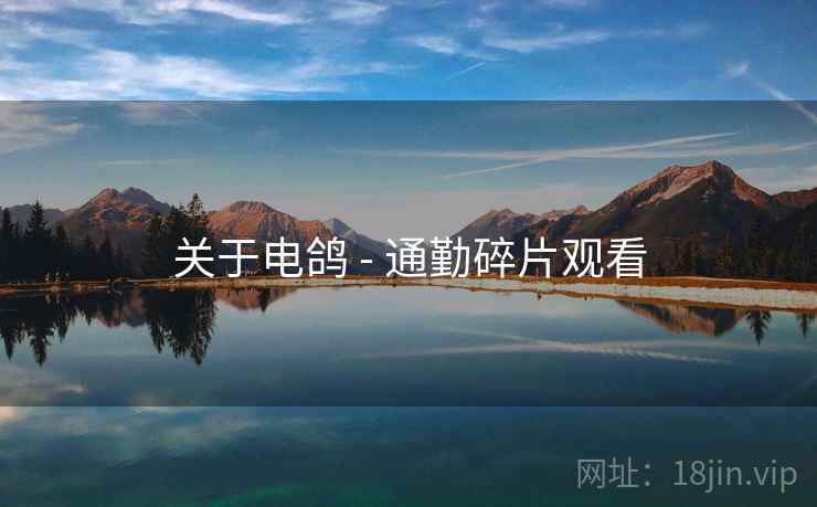 关于电鸽 - 通勤碎片观看