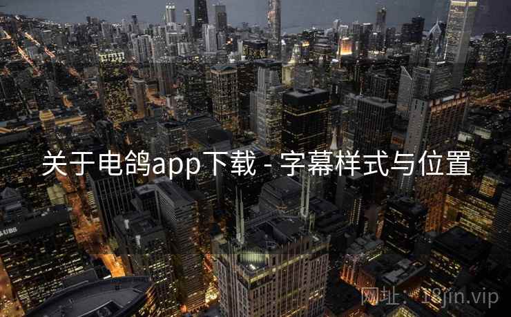 关于电鸽app下载 - 字幕样式与位置