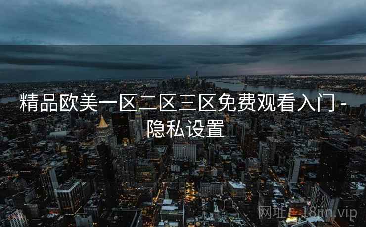 精品欧美一区二区三区免费观看入门 - 隐私设置
