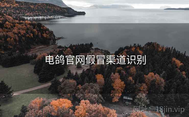 电鸽官网假冒渠道识别